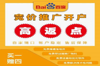 百度竞价排名服务：成功案例解析与优化策略